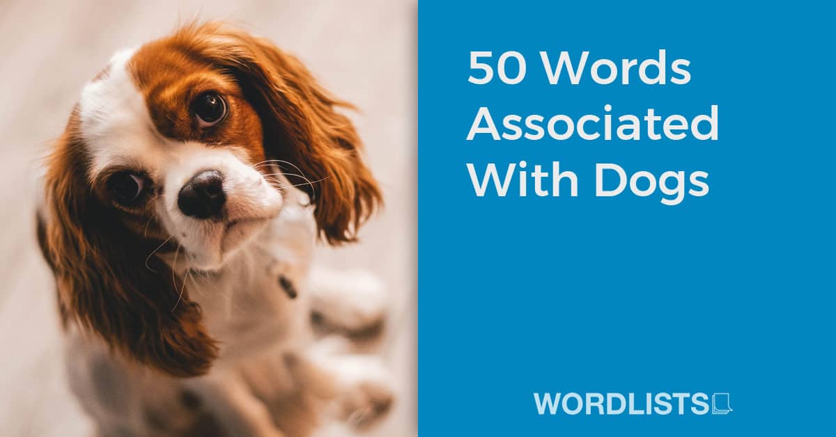 50 Words Associated With Dogs