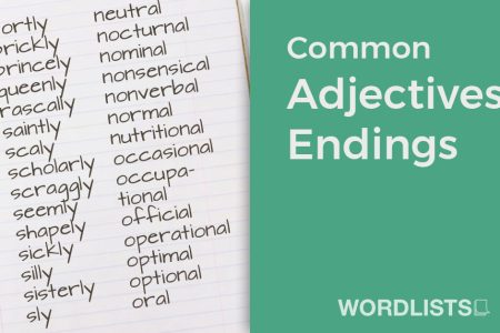 Common Adjectives Endings