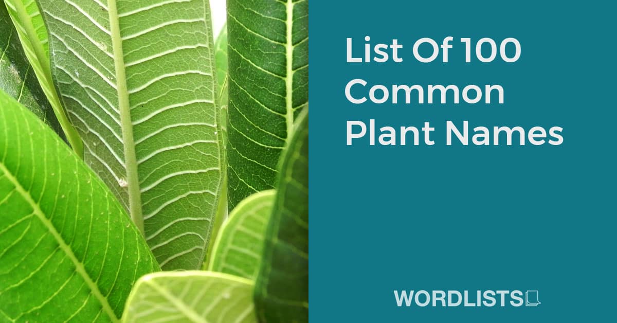 List Of 100 Common Plant Names