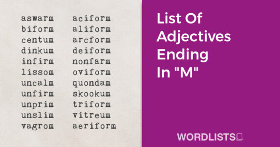 List Of Adjectives Ending In "M" thumb
