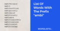 List Of Words With The Prefix 