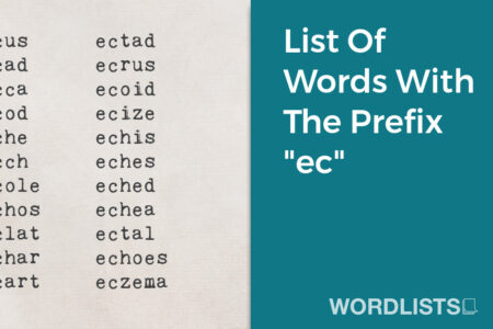 List Of Words With The Prefix "ec" thumbnail